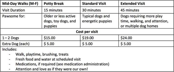 How Much Should You Charge For Dog Walking