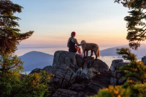  Northern Virginia dog owner on hike