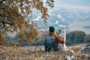 Northern Virginia hike in the fall