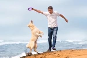 Northern Virginia pet owner and his golden retriever play on the sandy beach on a sunny summer day