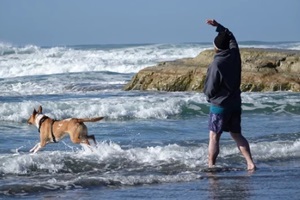 man throws ball for his dog at the beach