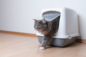  Cat Hooded Litterbox