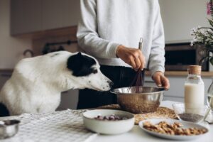 Making homemade dog food