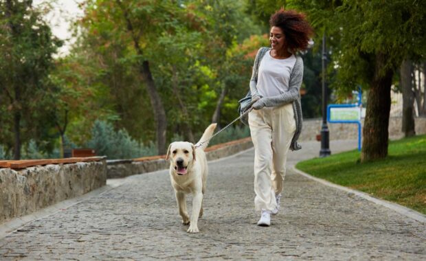 Dog walking services in VA