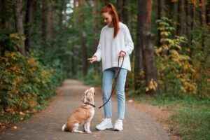 Dog Walker training heel