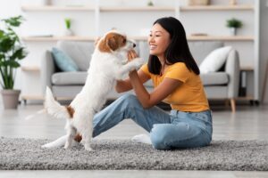 Northern VA dog sitter playing with small dog