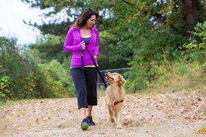 Northern Virginia pet sitter walking golden