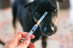 Rabies vaccine