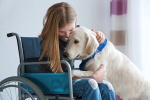 Service dog for disability