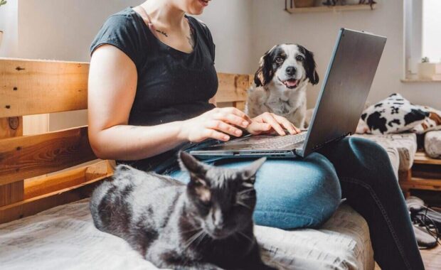 woman pet sitter sitting on a wooden bench, working on a laptop. A black cat is lying on her lap, and a dog is sitting beside her, looking at the camera